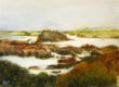 Le Connemara 